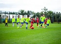 战绩骄人,星耀篮坛,砥砺前行,平博体育官网,PINBO,Sports,足球直播,篮球赛事,体育高清,NBA直播