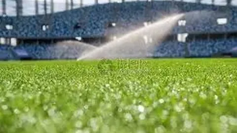 王力宏与李靓蕾无商业往来，其内地拥有两家企业