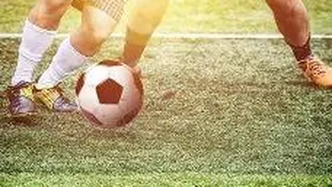 平博体育 产品 085833 q0g