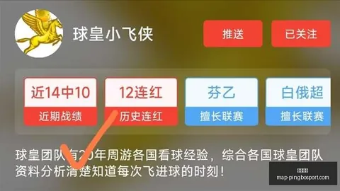 2028年3月嘉兴盛大启幕20女足亚洲杯官方确认，不容错过的赛事前瞻